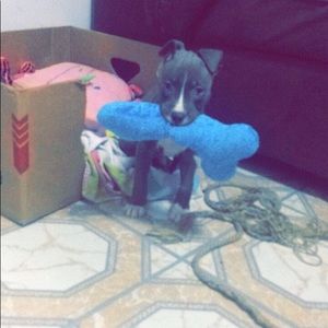 Meet your Posher, Angel